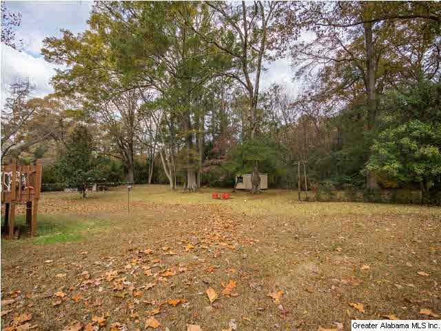 295 Pineview Road Montevallo, AL 35115 - Photo 23 of 24