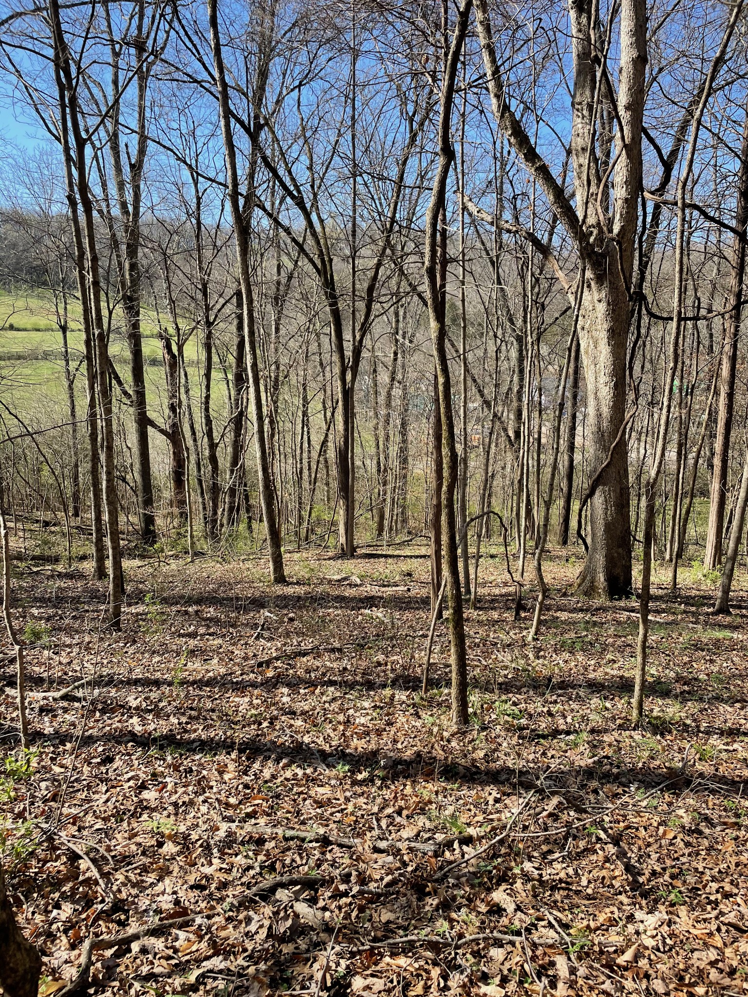 2057 Hillsboro Road Franklin, TN 37069 - Photo 14 of 27 a backyard of a house with lots of green space