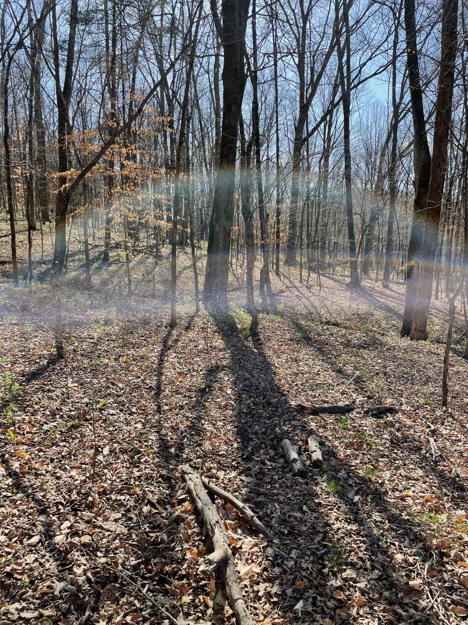 2057 Hillsboro Road Franklin, TN 37069 - Photo 20 of 27 a backyard of a house with lots of green space