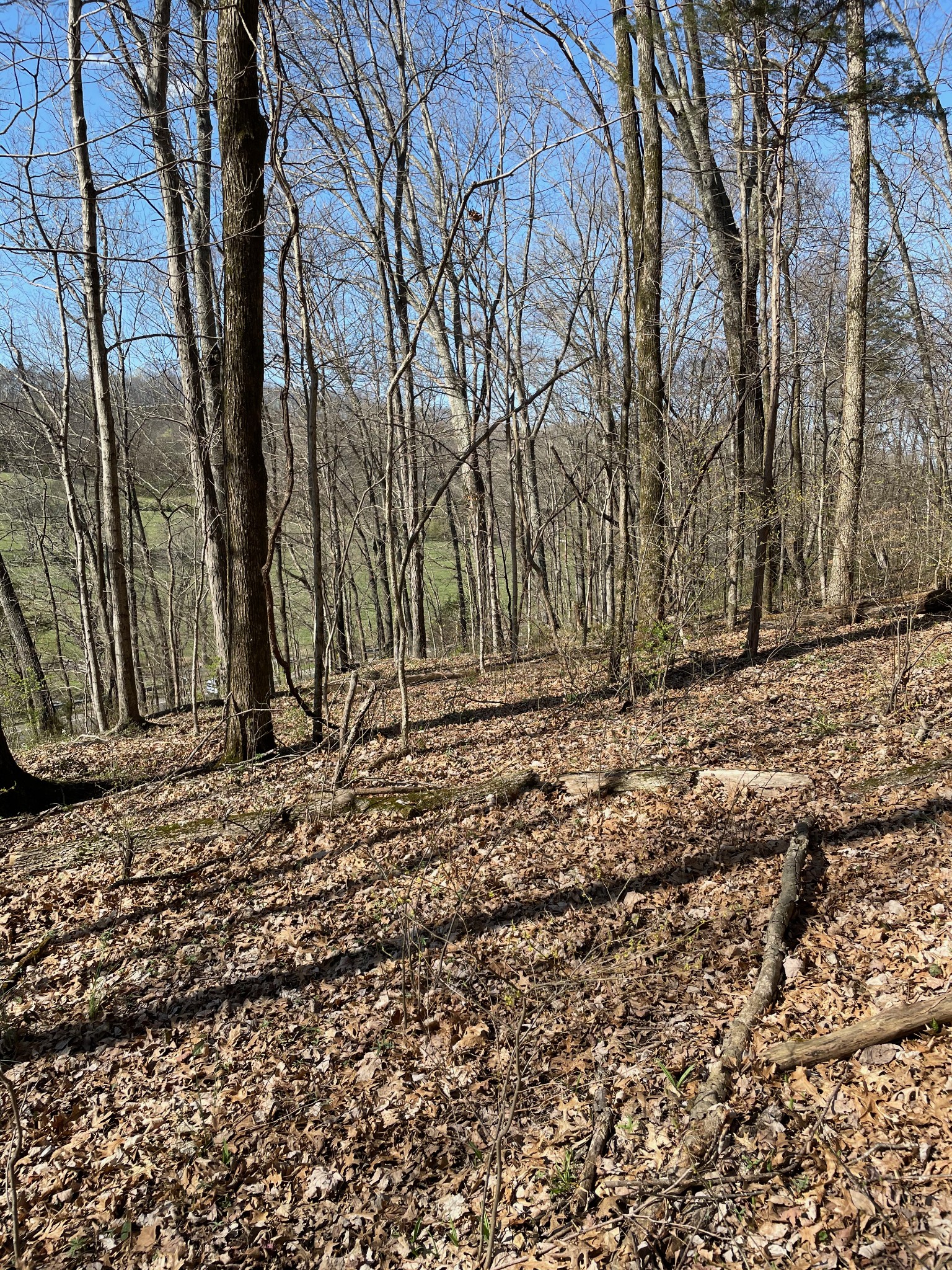2057 Hillsboro Road Franklin, TN 37069 - Photo 25 of 27 a backyard of a house with lots of green space