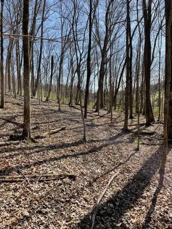 a view of outdoor space with trees