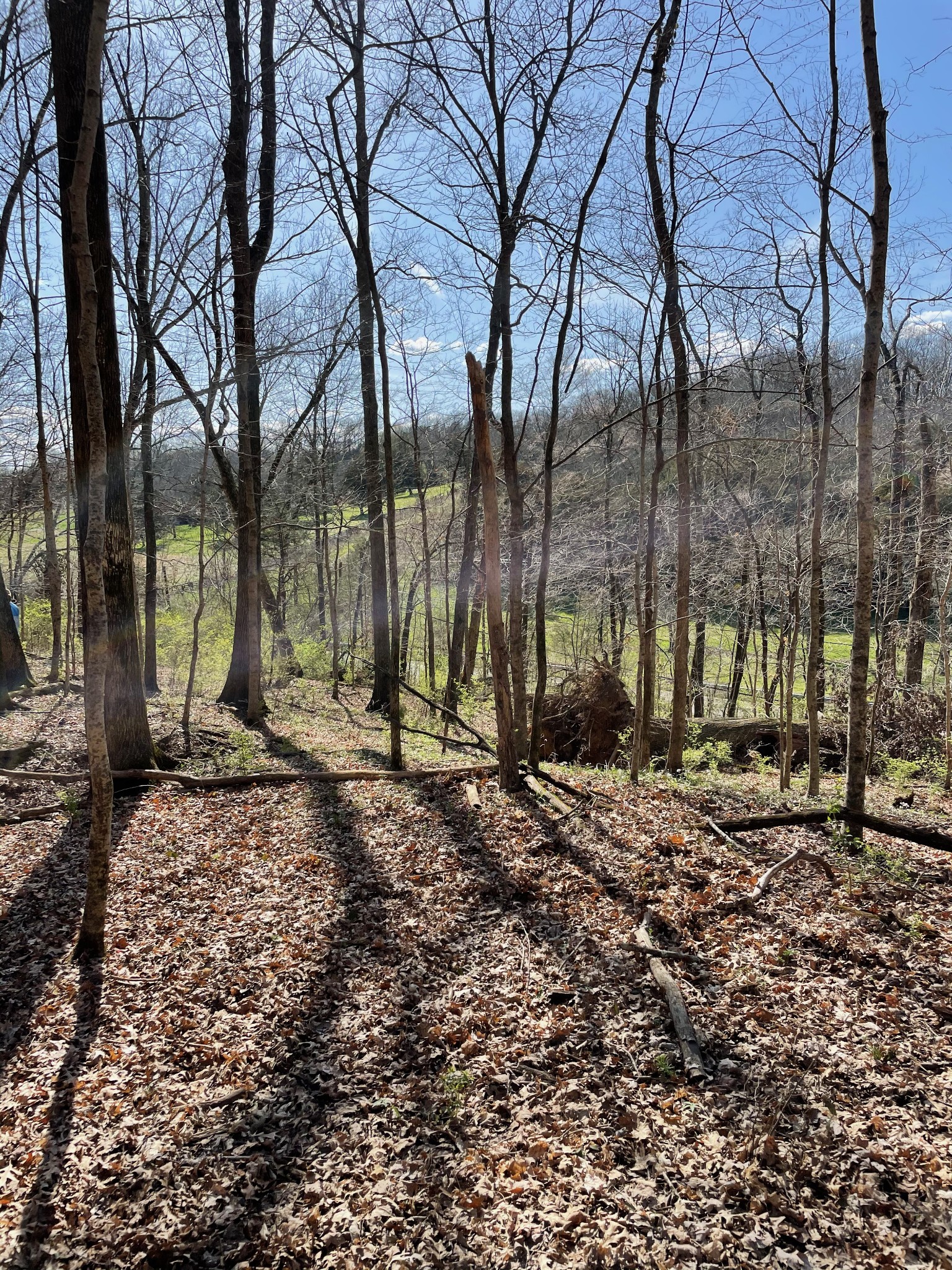 2057 Hillsboro Road Franklin, TN 37069 - Photo 6 of 27 a backyard of a house with lots of green space