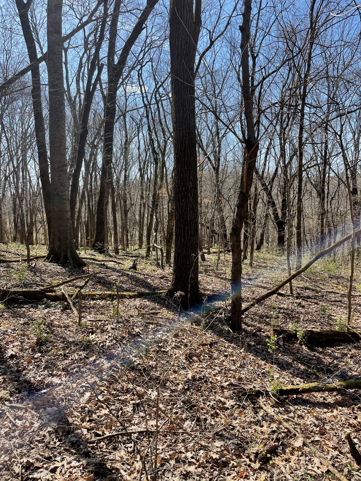 2057 Hillsboro Road Franklin, TN 37069 - Photo 8 of 27