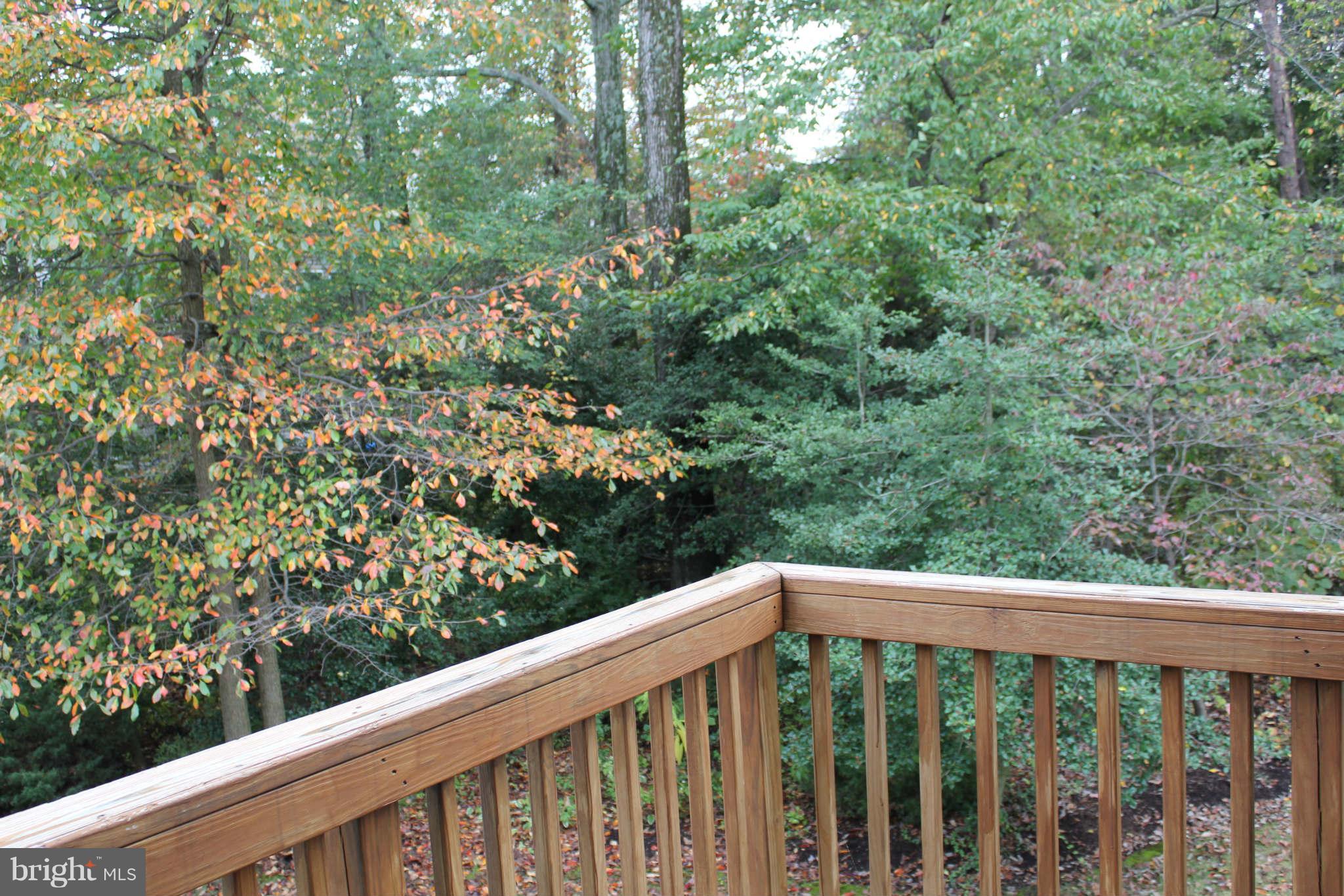 253 Tilden Way Edgewater, MD 21037 - Photo 9 of 30 Deck View 1