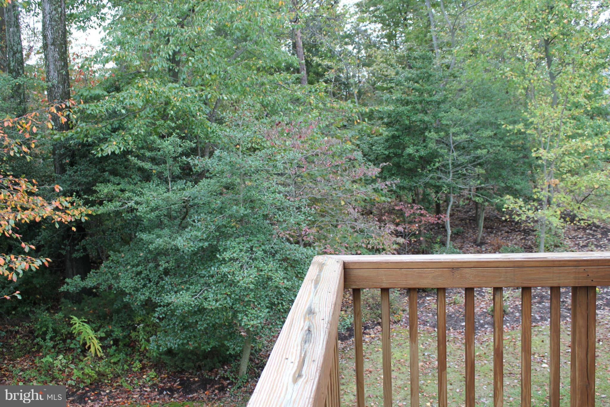 253 Tilden Way Edgewater, MD 21037 - Photo 10 of 30 Deck View 2