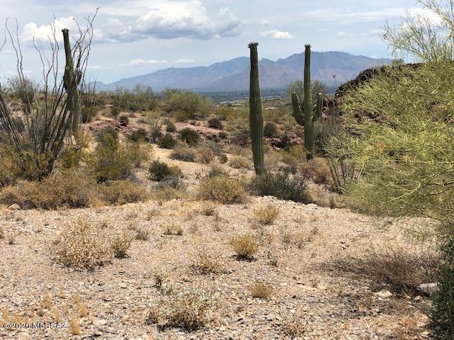 North Park Ridge Place Tucson, AZ 85743 - Photo 7 of 10