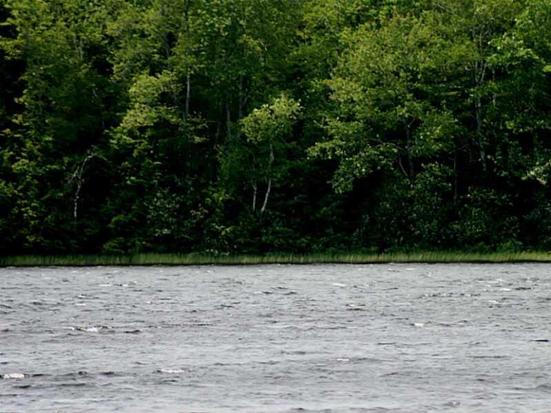 500 Dresser Road Bucksport, ME 04416 - Photo 27 of 28 Waterfront/Dock/Pier.