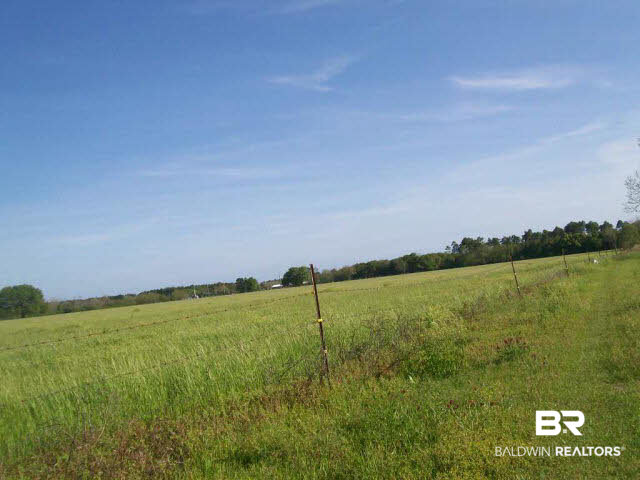 27670 Krehling Road Elberta, AL 36530 - Photo 3 of 8 Additional View