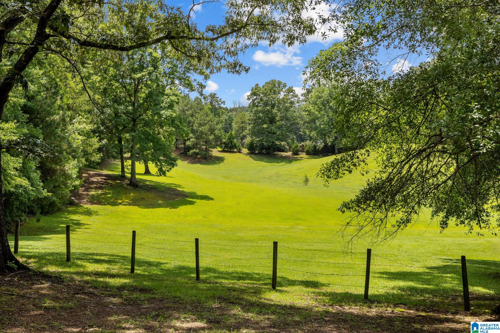 860 Sweet Apple Road Pell City, AL 35128 - Photo 26 of 62