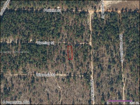103 Wyoming Street Hawthorne, FL 32640 - Photo 1 of 1 a view of a yard with large trees