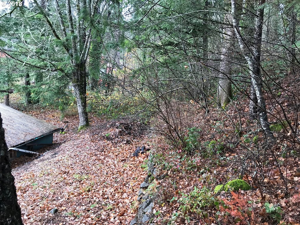 201 Southwest Attwell Road Stevenson, WA 98648 - Photo 7 of 7 Gallery Image 7