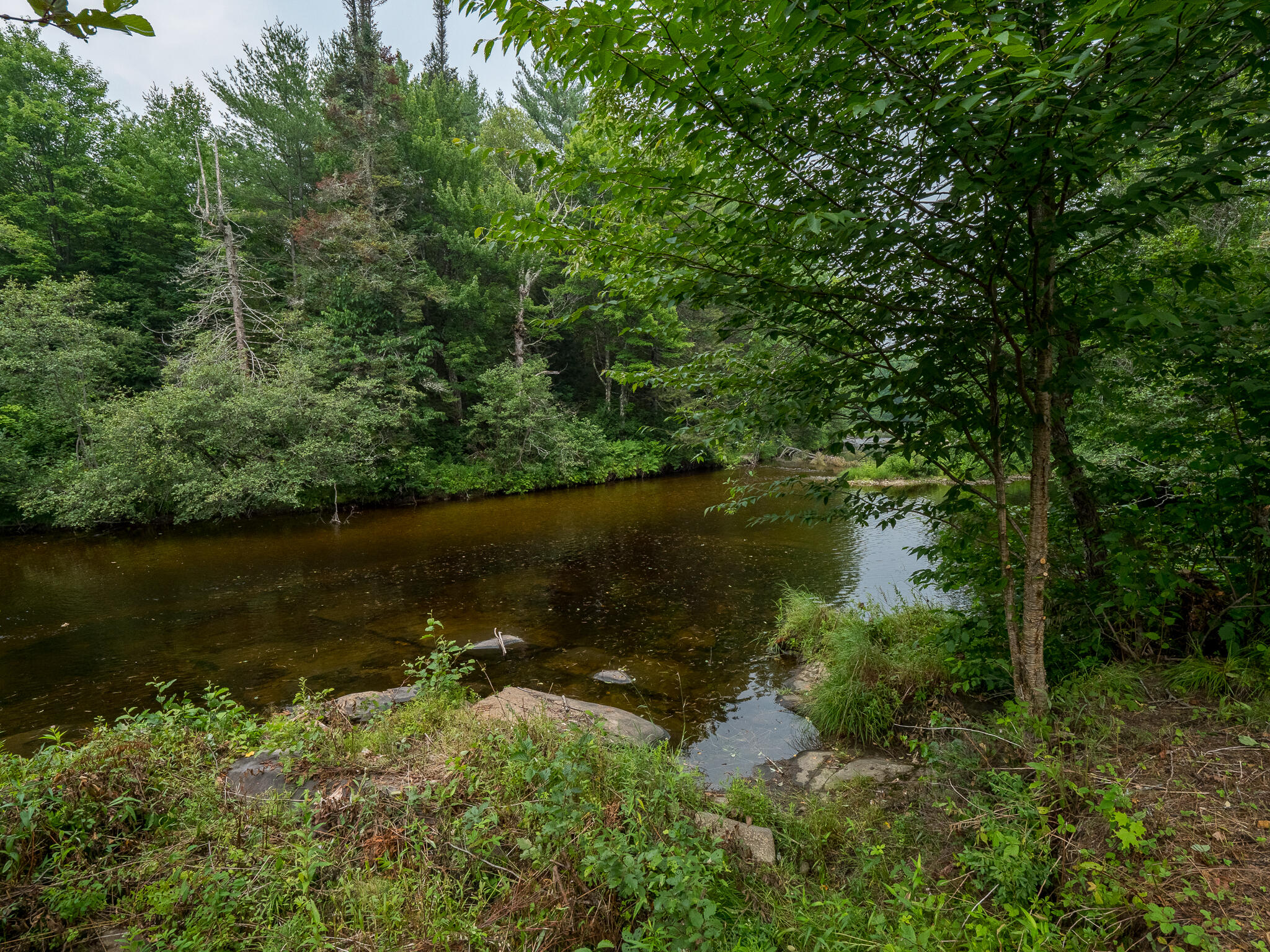 896 Bear River Road Newry, ME 04261 - Photo 5 of 53 869 Bear River-55