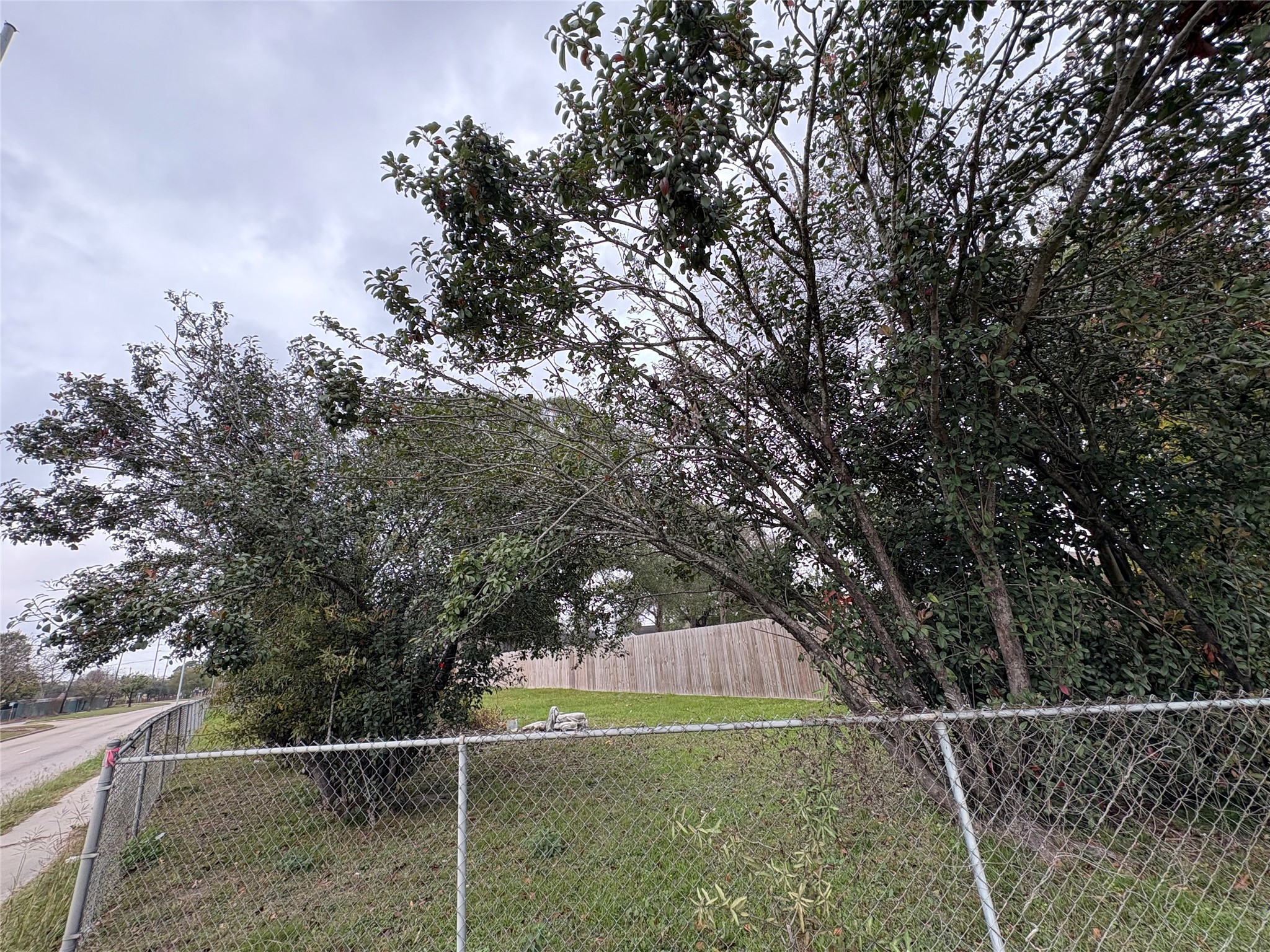 Tbd Hanfro Lane Houston, TX 77088 - Photo 2 of 9