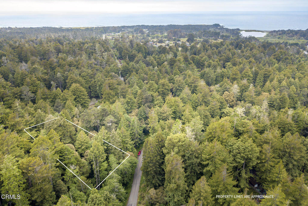 a view of a city with lush green forest