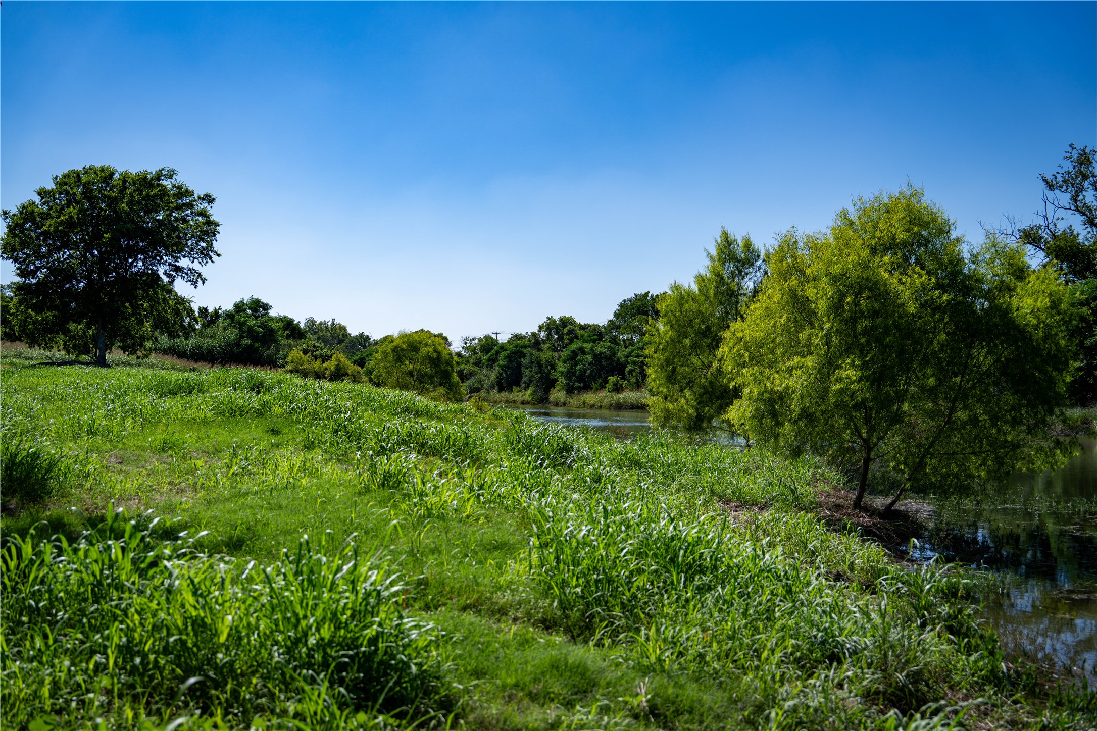 Tbd Lost Acres Loop Blanco, TX 78606 - Photo 25 of 39 a view of a lush green space
