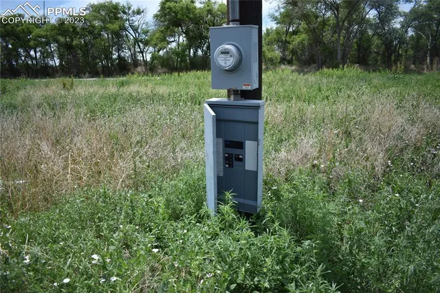 a view of a house with a yard plants and large tree