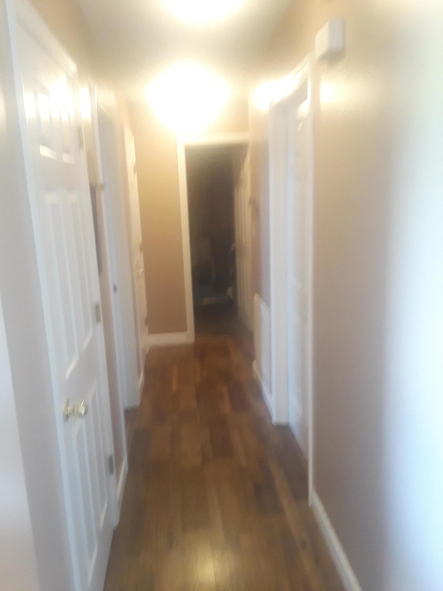 107 Ravyn's Way Maynardville, TN 37807 - Photo 14 of 22 20190611_175812