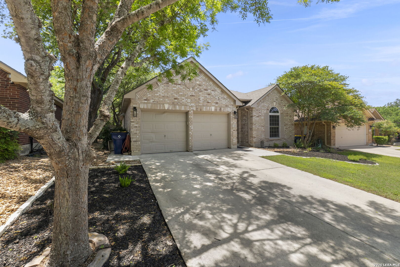 205 Turkey Tree Cibolo, TX 78108 - Photo 48 of 50