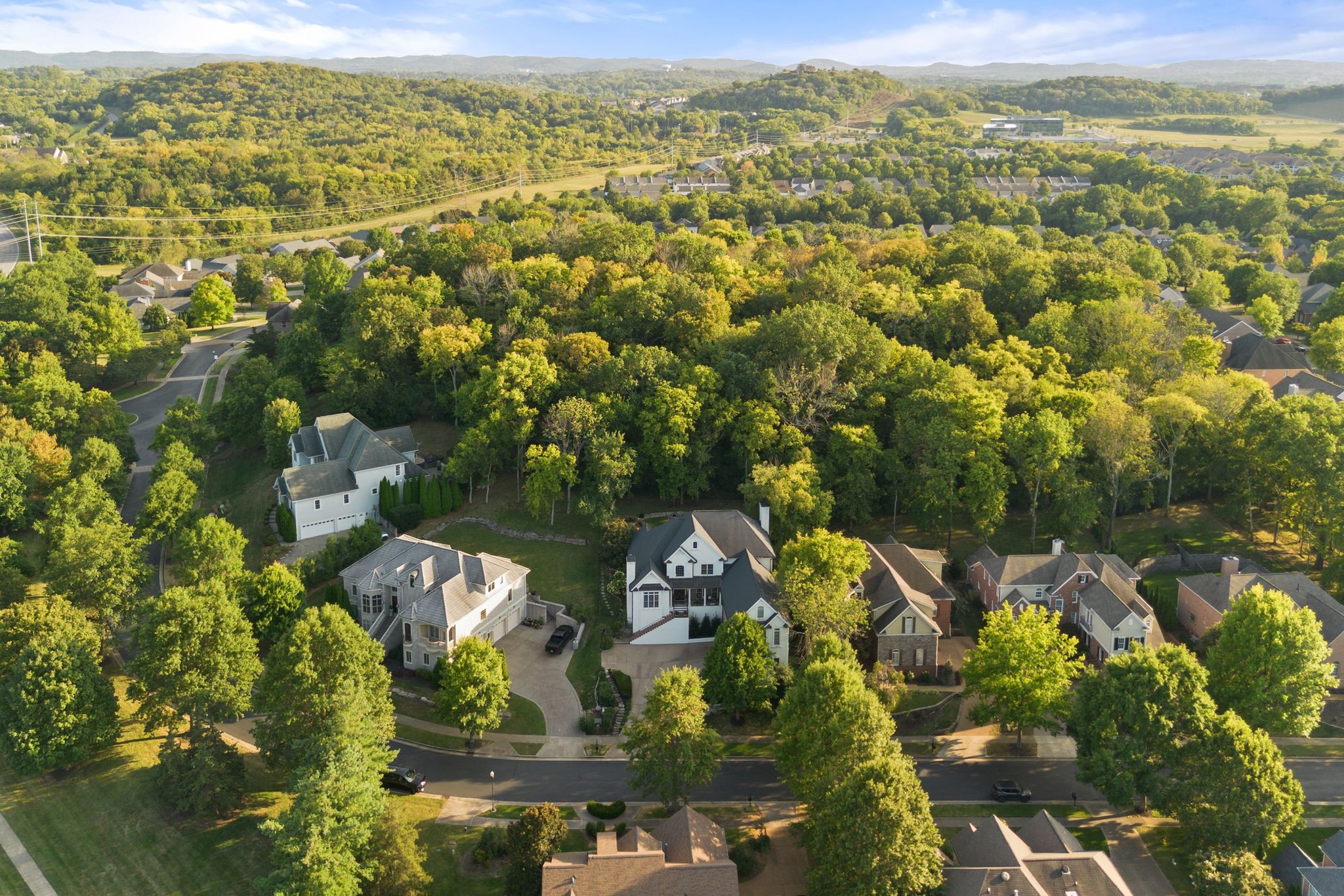 173 Allenhurst Circle Franklin, TN 37067 - Photo 62 of 68