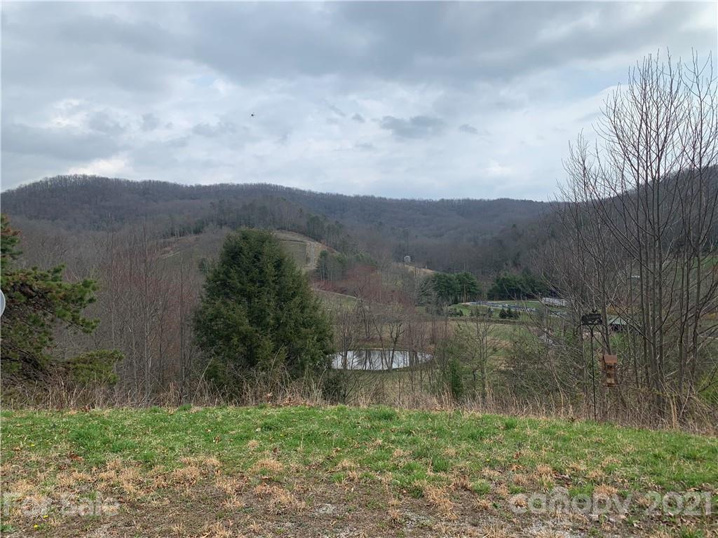 312 Fudderback Road Balsam Grove, NC 28708 - Photo 3 of 9 Gallery Image 3
