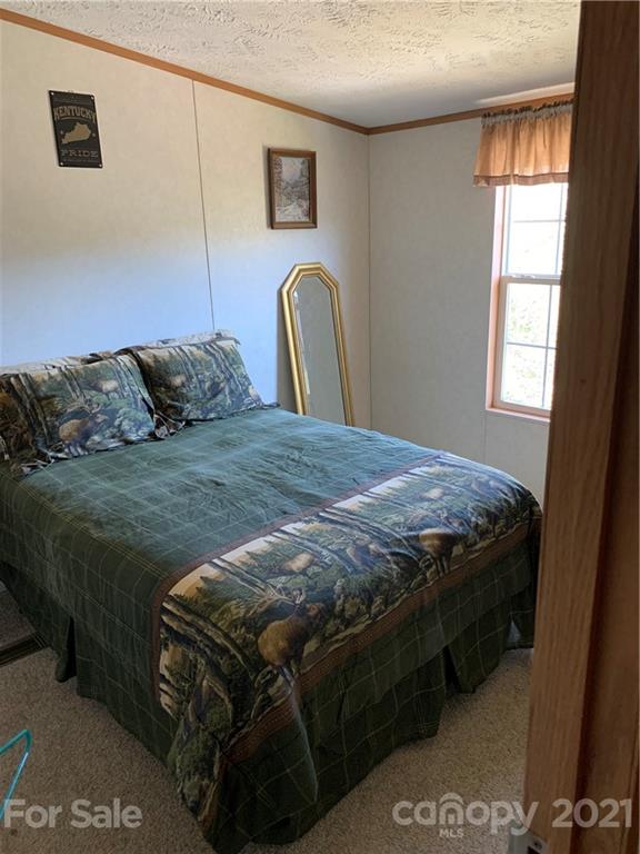 312 Fudderback Road Balsam Grove, NC 28708 - Photo 7 of 9 Gallery Image 7
