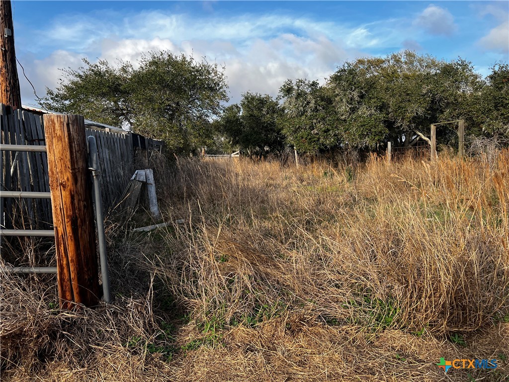607 Quail Meadow Road Seadrift, TX 77983 - Photo 6 of 48 a view of a backyard