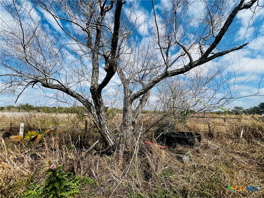 607 Quail Meadow Road Seadrift, TX 77983 - Photo 10 of 48 a backyard of a house with lots of green space