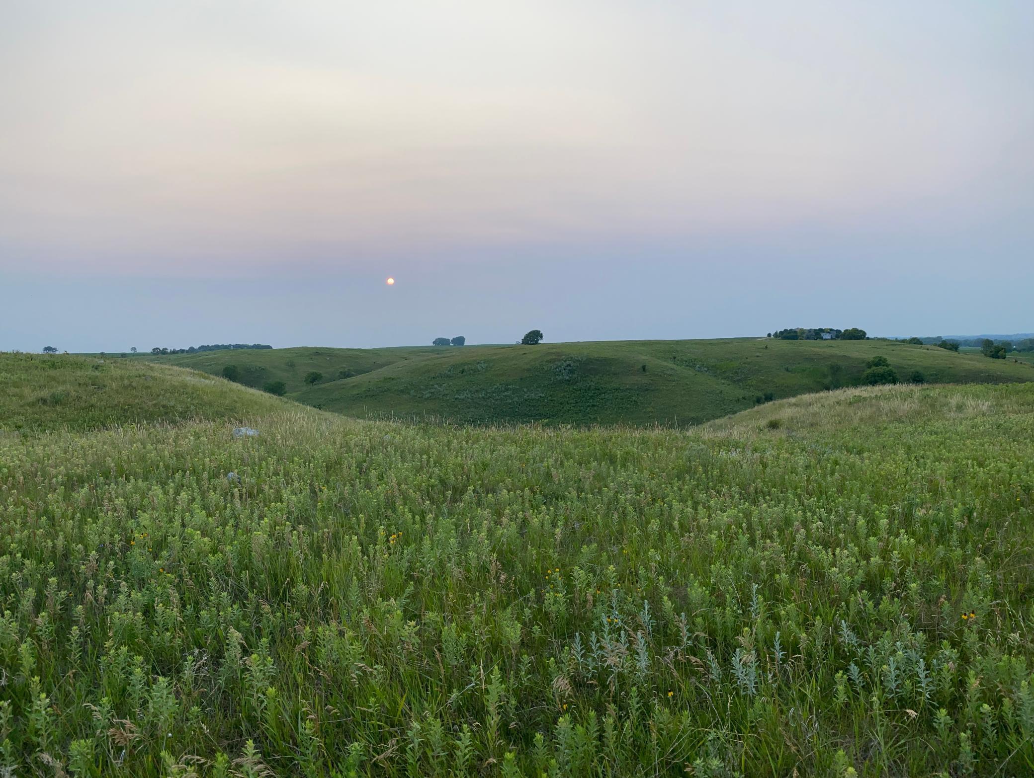 14101 Pelican Ridge Big Stone City, SD 57216 - Photo 3 of 13