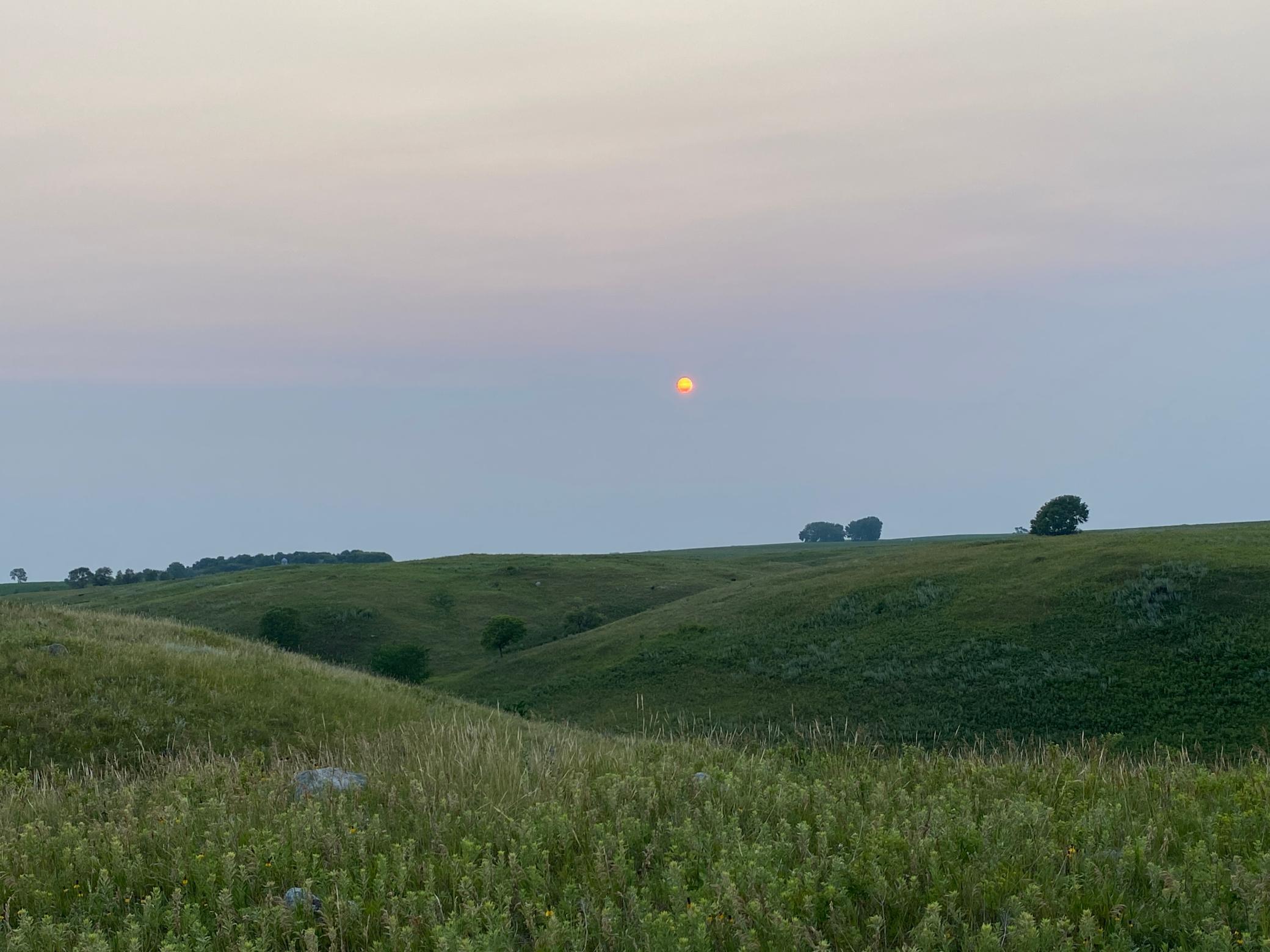 14101 Pelican Ridge Big Stone City, SD 57216 - Photo 4 of 13