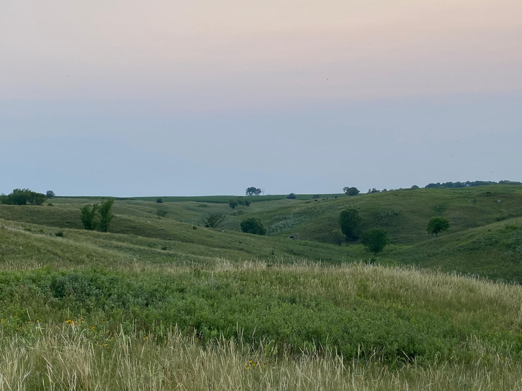 14101 Pelican Ridge Big Stone City, SD 57216 - Photo 9 of 13
