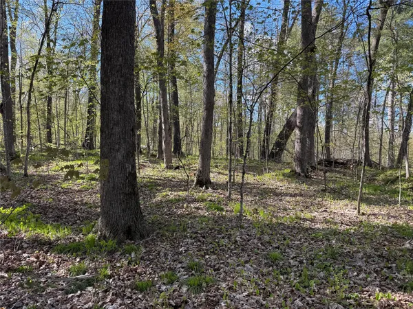 $119,900 | W2373 Blackhawk Road, Sarona, WI 54870
