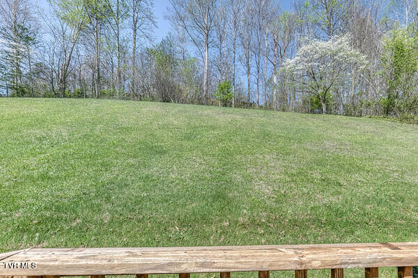 389 Jenkins Hollow Road Elizabethton, TN 37643 - Photo 27 of 34 IMG_2313