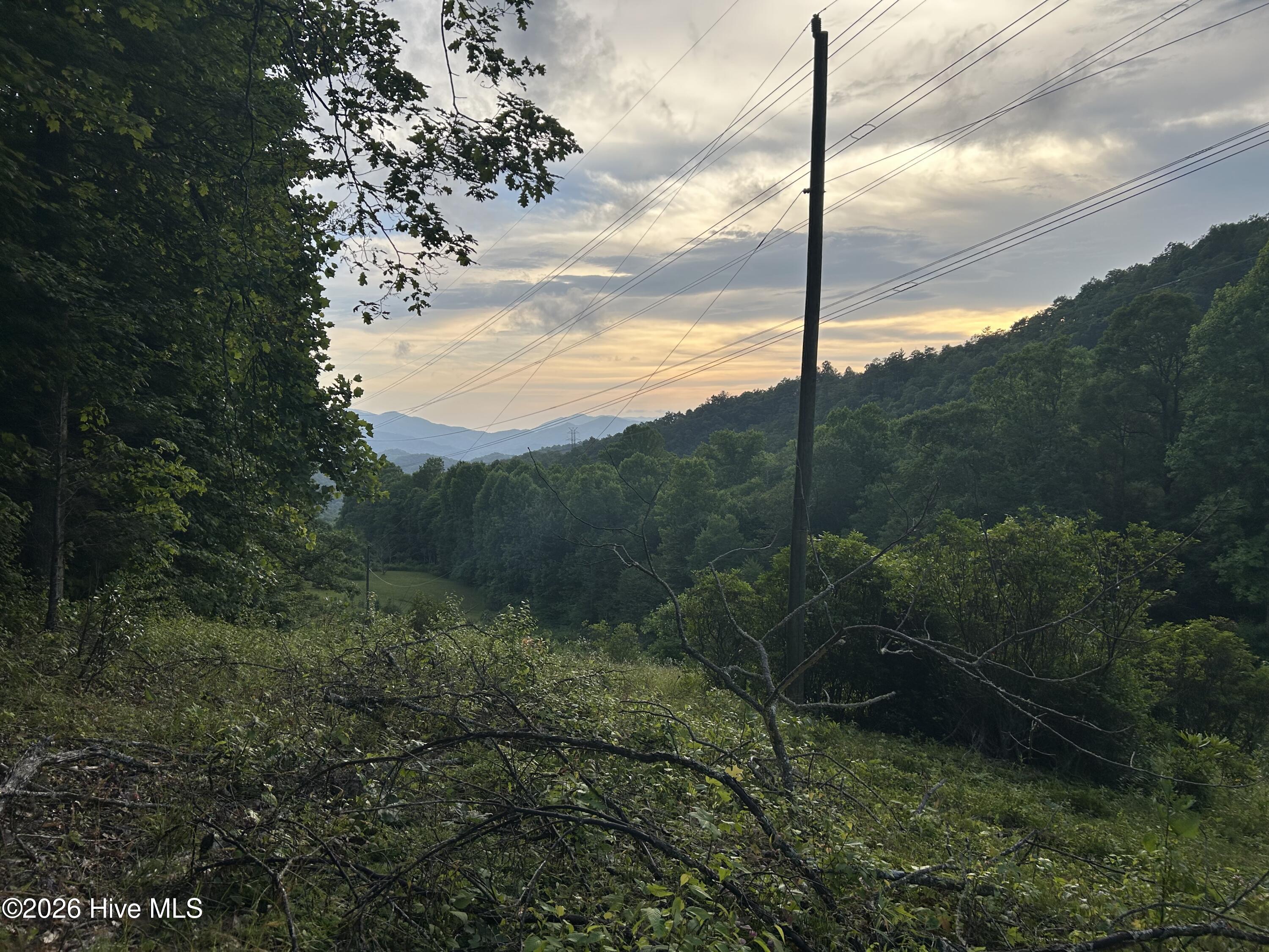 0 Otter Creek Road Topton, NC 28781 - Photo 17 of 20