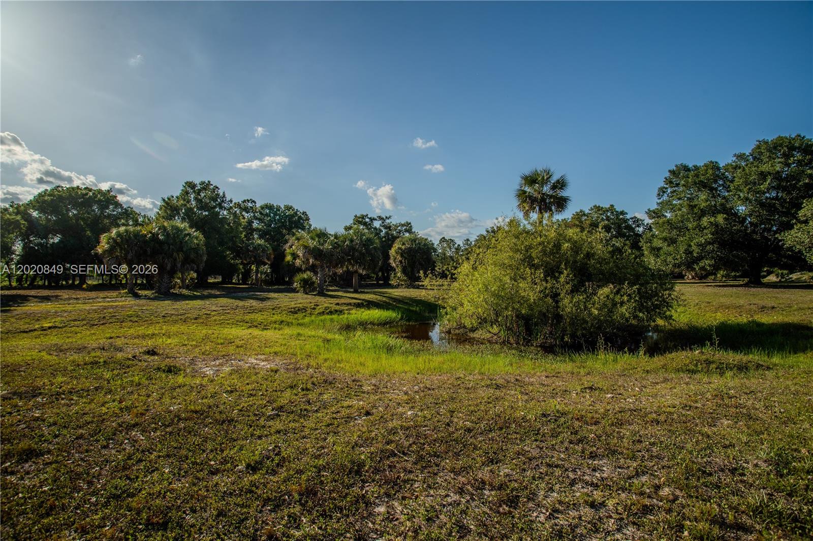 3880 Packinghouse Road Alva, FL 33920 - Photo 34 of 47