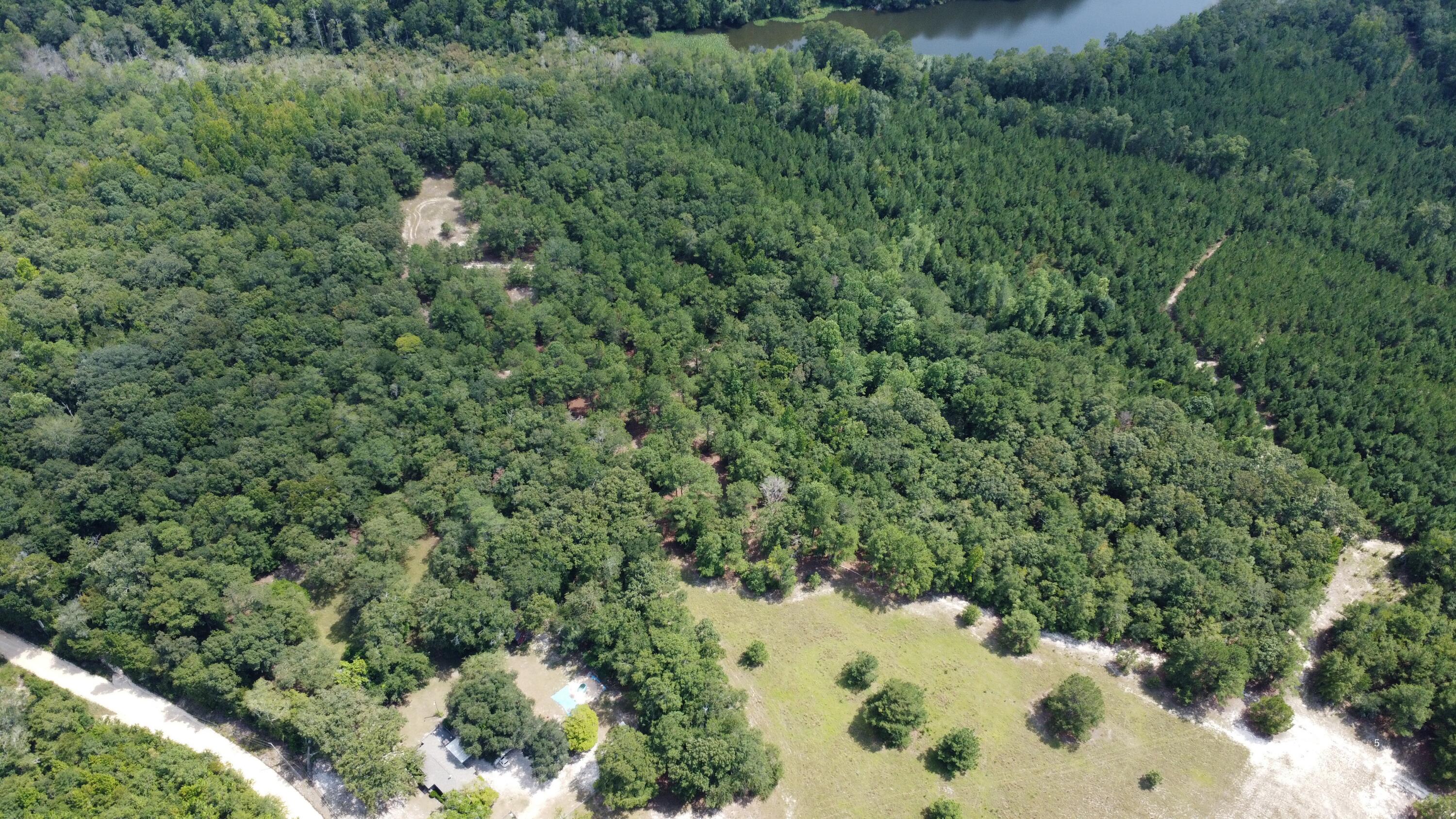 0 Warner Road Salley, SC 29137 - Photo 5 of 19 Gallery Image 5
