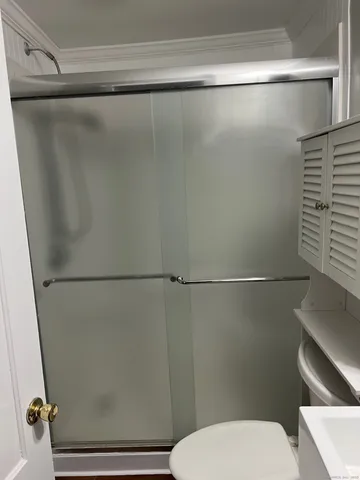 a bathroom with a shower and a toilet