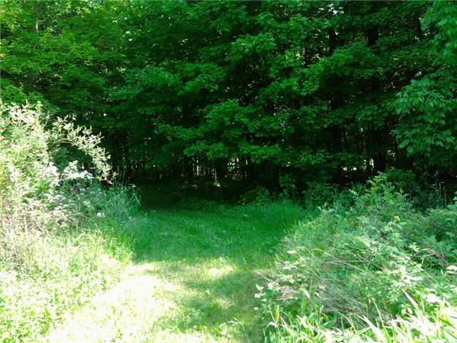 0 Concord Road Johnstown, OH 43031 - Photo 2 of 5