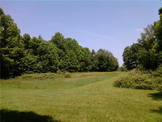 0 Concord Road Johnstown, OH 43031 - Photo 3 of 5