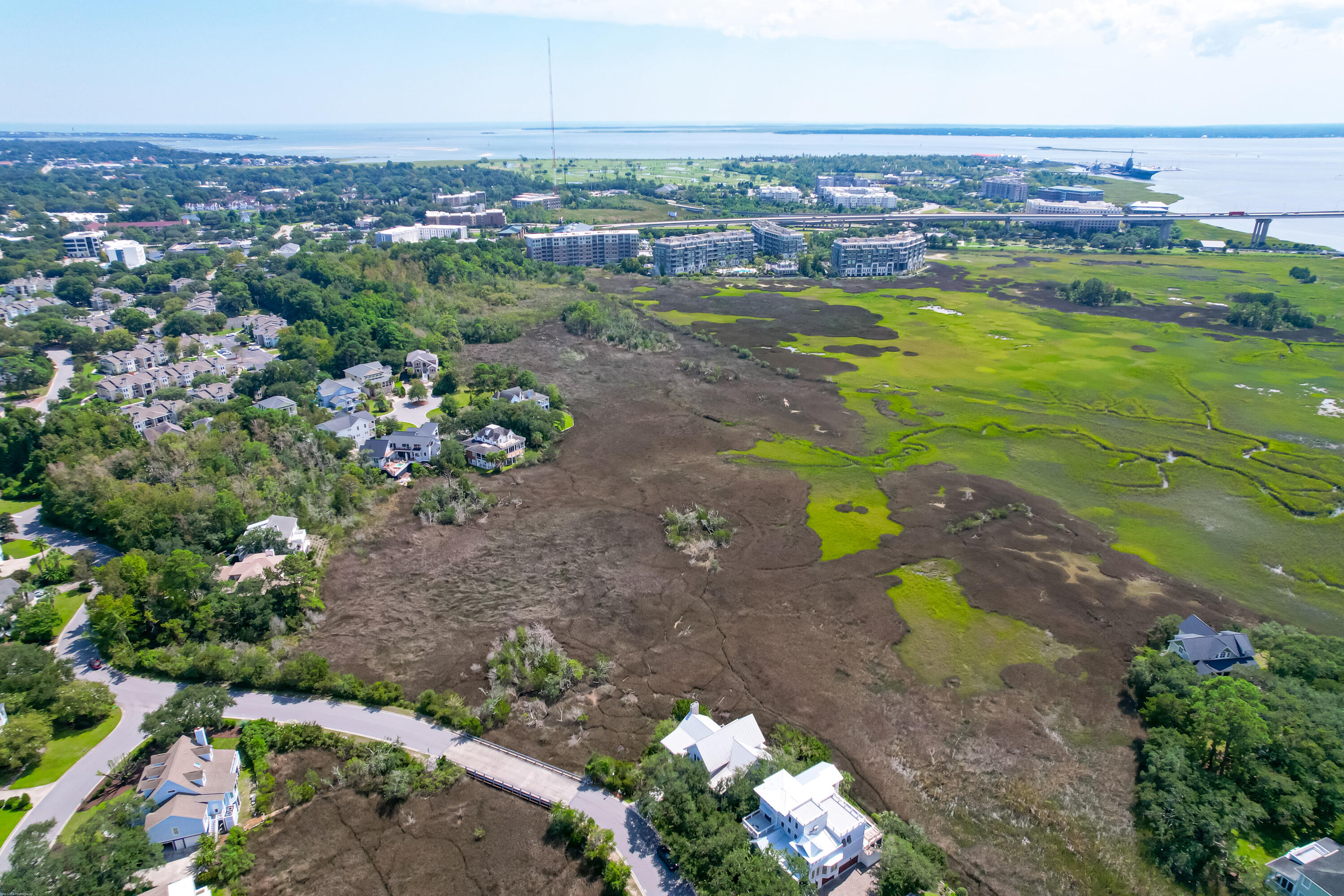 187 Harbour Watch Way Mount Pleasant, SC 29464 - Photo 51 of 67 Arial 6