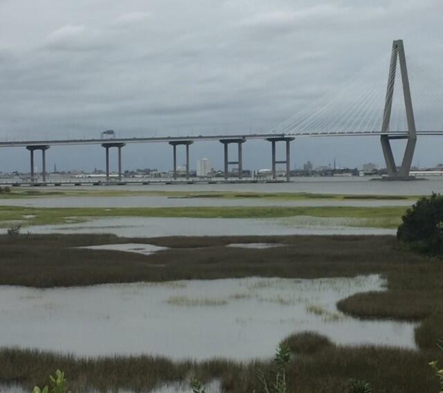 187 Harbour Watch Way Mount Pleasant, SC 29464 - Photo 6 of 67 High Tide