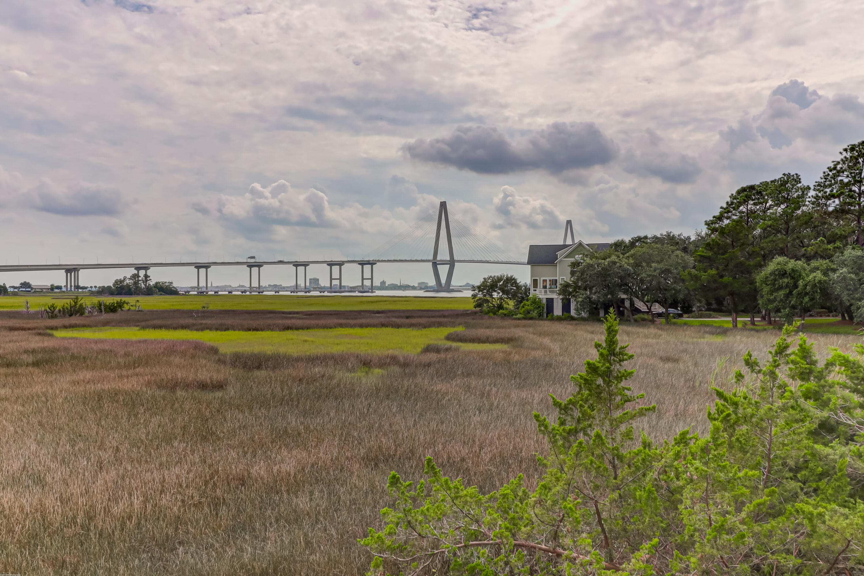 187 Harbour Watch Way Mount Pleasant, SC 29464 - Photo 7 of 67 Distant Marsh/Harbor