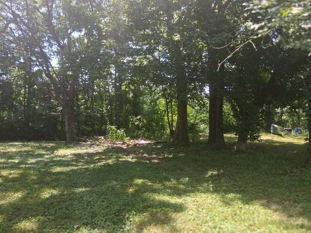 9700 2nd Street Gates, TN 38037 - Photo 5 of 53