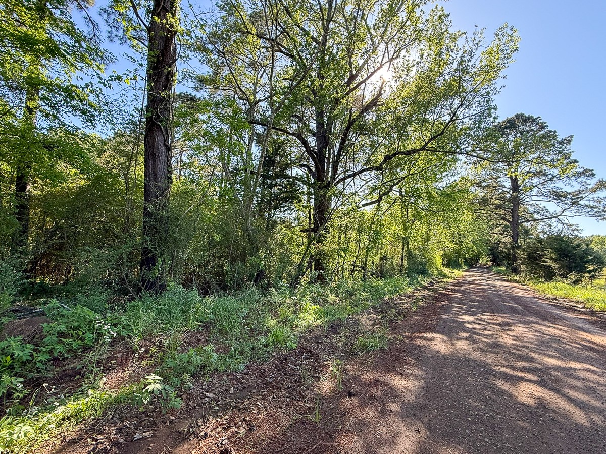 Tbd Flat Road Bronson, TX 75930 - Photo 1 of 9 a big yard with lots of green space and house