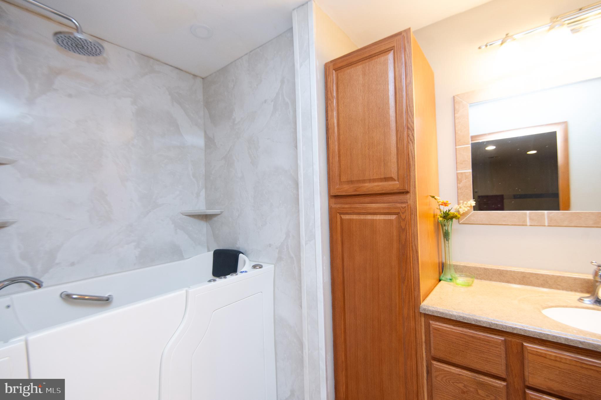 6132 Palmer Mill Road Hurlock, MD 21643 - Photo 19 of 37 a bathroom with a bathtub and a sink