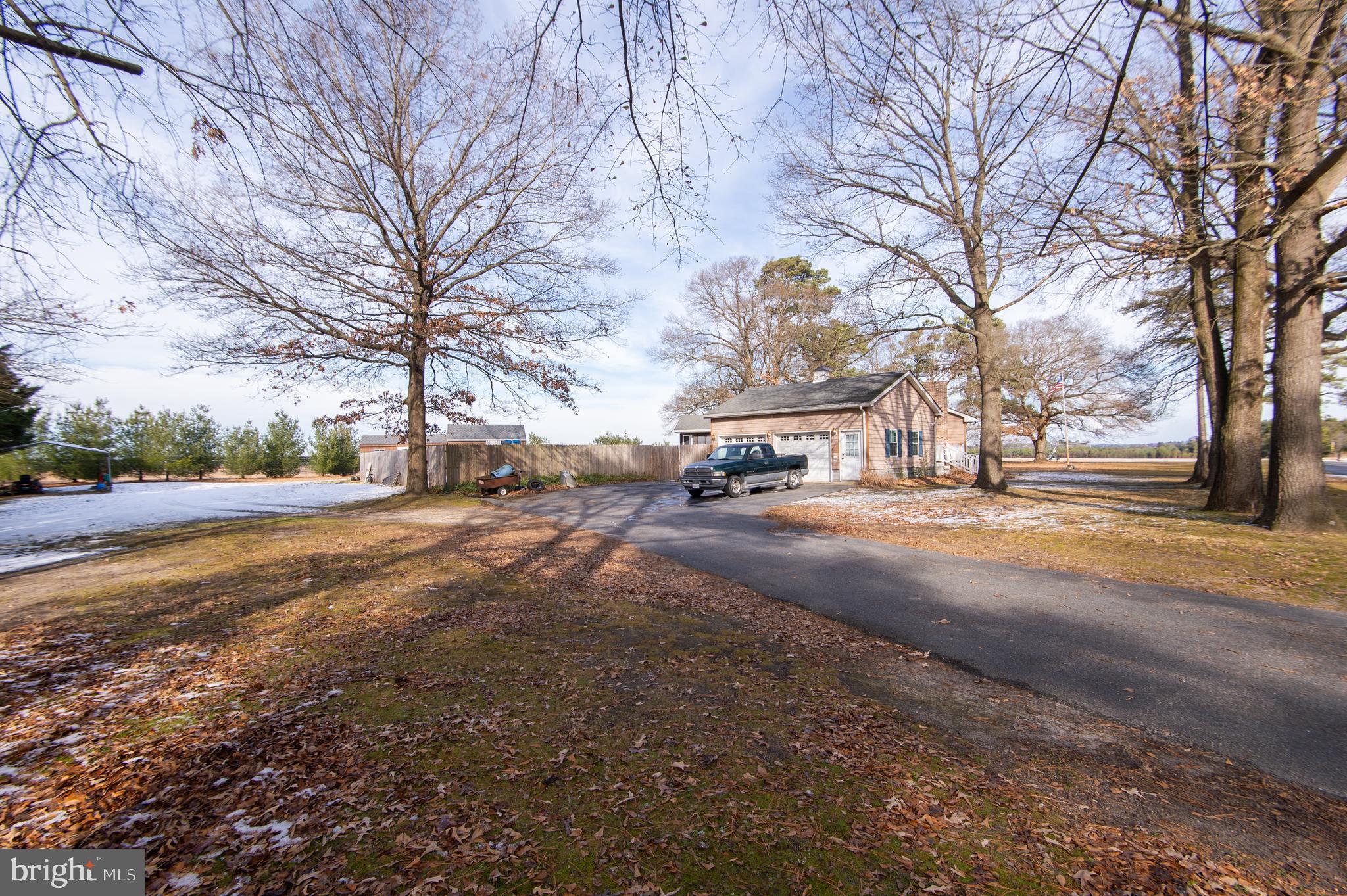 6132 Palmer Mill Road Hurlock, MD 21643 - Photo 33 of 37 a view of road with large trees