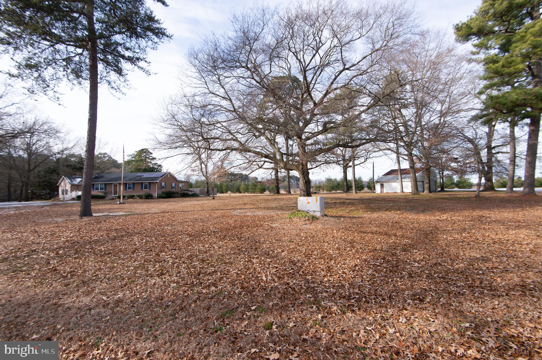 6132 Palmer Mill Road Hurlock, MD 21643 - Photo 34 of 37 a view of road with trees