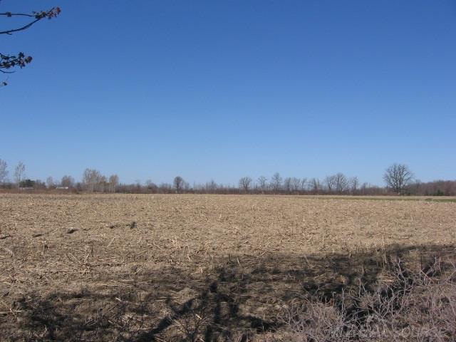 8595 Gibbons Road Jeddo, MI 48032 - Photo 42 of 43 31240761-41.JPG