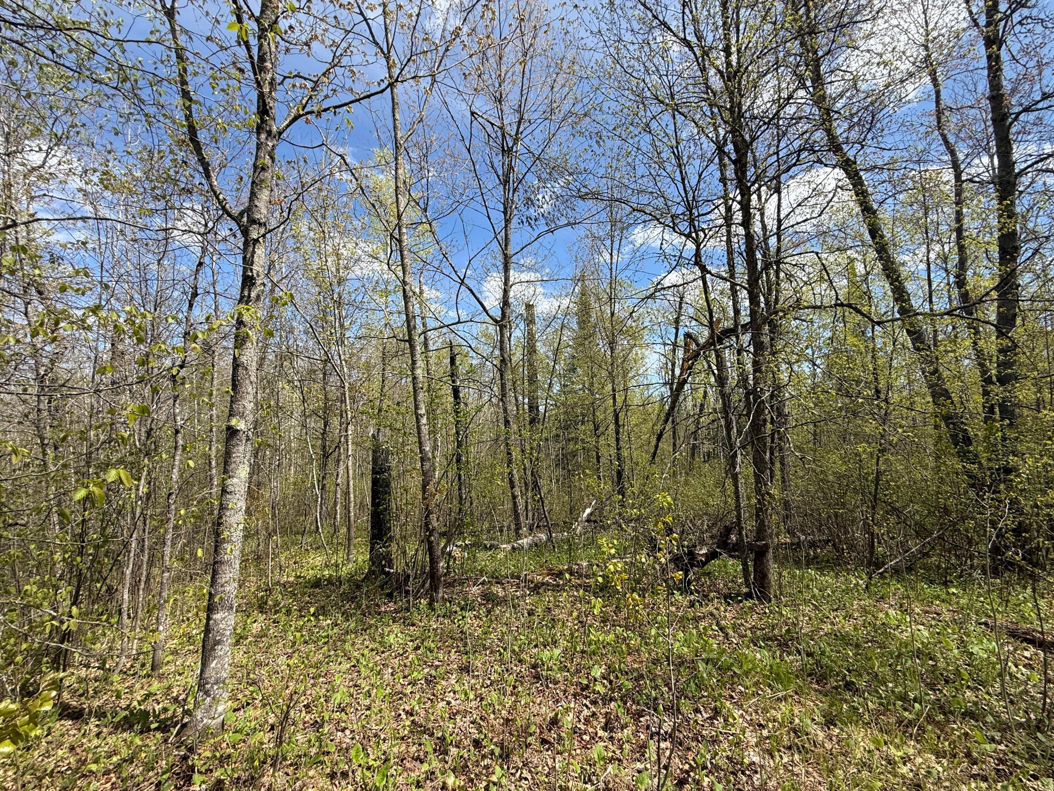 3854 Rasmussen Road Wright, MN 55798 - Photo 14 of 98