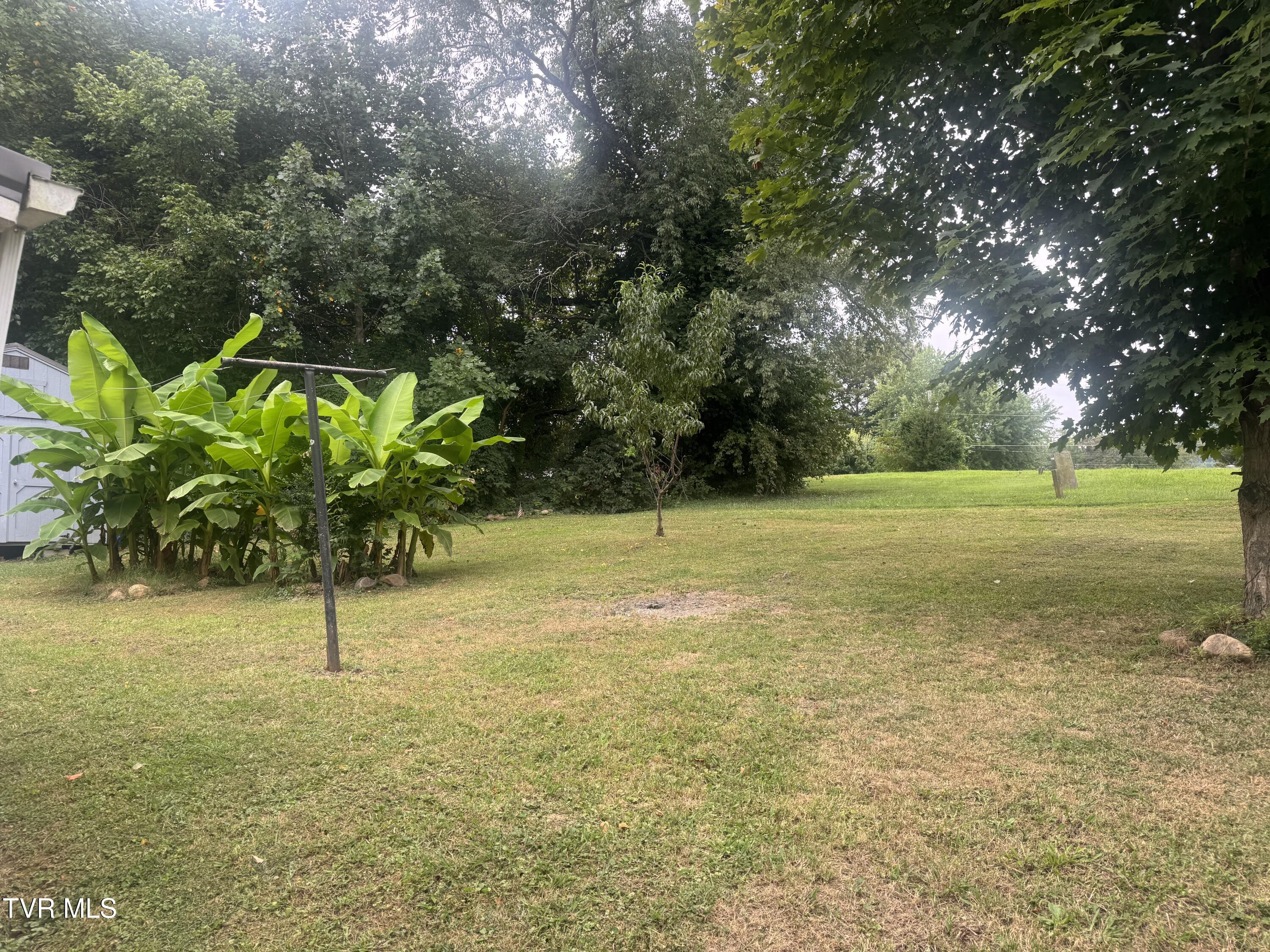 604 Trudy Street Elizabethton, TN 37643 - Photo 6 of 19 IMG_7952