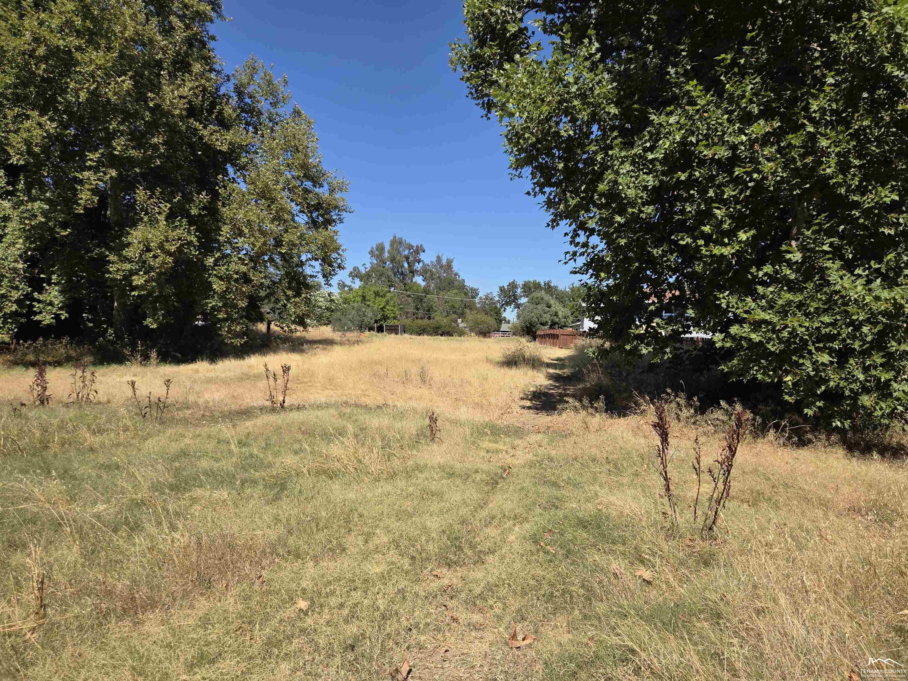 275 Howell Avenue Red Bluff, CA 96080 - Photo 3 of 8